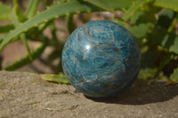 Polished Blue Apatite Spheres  x 3 From Betroka, Madagascar