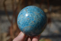 Polished Blue Apatite Spheres  x 3 From Betroka, Madagascar