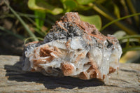 Natural Extra Large Bladed Barite Specimen  x 1 From Congo