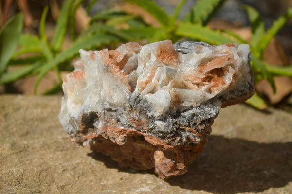 Natural Extra Large Bladed Barite Specimen  x 1 From Congo