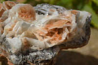 Natural Extra Large Bladed Barite Specimen  x 1 From Congo