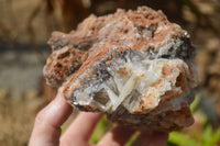 Natural Extra Large Bladed Barite Specimen  x 1 From Congo