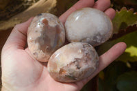 Polished Ocean Flower Agate Gallets  x 12 From Antsahalova, Madagascar