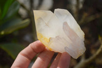 Natural Large Candle Quartz Crystals  x 12 From Madagascar