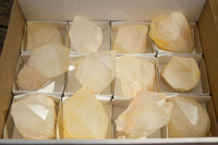 Natural Large Candle Quartz Crystals  x 12 From Madagascar