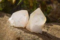 Natural Large Candle Quartz Crystals  x 12 From Madagascar