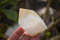 Natural Large Candle Quartz Crystals  x 12 From Madagascar