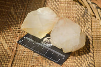 Natural Large Candle Quartz Crystals  x 12 From Madagascar