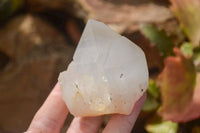 Natural Large Candle Quartz Crystals  x 12 From Madagascar