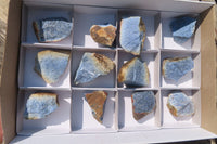 Natural Rough Dumortierite Pieces  x 12 From Mozambique