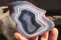 Polished River Agate Nodules  x 6 From Sashe River, Zimbabwe