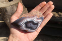 Polished River Agate Nodules  x 6 From Sashe River, Zimbabwe