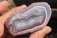 Polished River Agate Nodules  x 6 From Sashe River, Zimbabwe