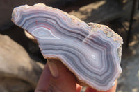 Polished River Agate Nodules  x 6 From Sashe River, Zimbabwe