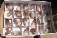 Natural Red Hematoid Quartz Specimens x 24 From Karoi, Zimbabwe