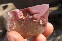 Natural Red Hematoid Quartz Specimens x 24 From Karoi, Zimbabwe