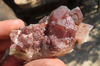 Natural Red Hematoid Quartz Specimens x 24 From Karoi, Zimbabwe