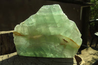 Polished One Side Polished Watermelon Fluorite Pieces  x 3 From Uis, Namibia