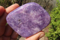 Polished Purple Lepidolite Free Forms  x 5 From Zimbabwe