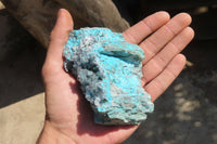 Natural Drusy Chrysocolla Dolomite Specimens x 4 From Likasi, Congo