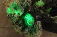 Natural Fluorescent Hyalite Opal Specimen  x 1 From Erongo, Namibia