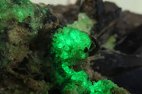 Natural Fluorescent Hyalite Opal Specimen  x 1 From Erongo, Namibia