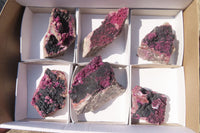 Natural Pink Salrose Cobaltion Dolomite Specimens x 6 From Kakanda, Congo