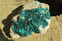 Natural Extra Large Dioptase Dolomite Specimen  x 1 From Congo