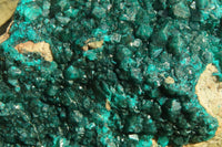 Natural Extra Large Dioptase Dolomite Specimen  x 1 From Congo