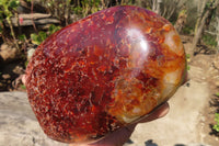 Polished Large Carnelian Agate Display Piece  x 1 From Madagascar