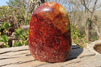 Polished Large Carnelian Agate Display Piece  x 1 From Madagascar