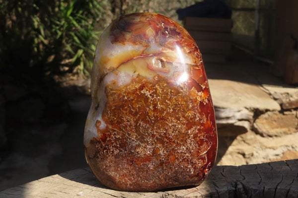 Polished Large Carnelian Agate Display Piece  x 1 From Madagascar