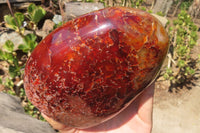 Polished Large Carnelian Agate Display Piece  x 1 From Madagascar