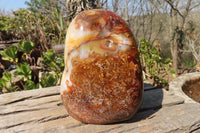 Polished Large Carnelian Agate Display Piece  x 1 From Madagascar