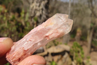 Natural Mixed Quartz Specimens  x 35 From Madagascar