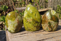 Polished Green Opal Standing Free Forms  x 6 From Antsirabe, Madagascar