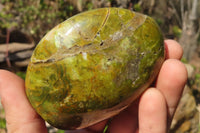 Polished Green Opal Standing Free Forms  x 6 From Antsirabe, Madagascar