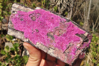 Natural Pink Salrose Cobaltion Dolomite Specimens  x 2 From Kakanda, Congo