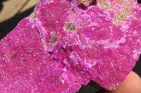 Natural Pink Salrose Cobaltion Dolomite Specimens  x 2 From Kakanda, Congo