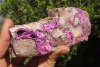 Natural Pink Salrose Cobaltion Dolomite Specimens  x 2 From Kakanda, Congo