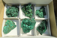 Natural Chatoyant Silky Malachite Specimens  x 6 From Kasompe, Congo