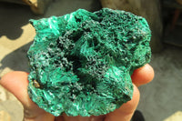 Natural Chatoyant Silky Malachite Specimens  x 6 From Kasompe, Congo