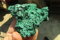 Natural Chatoyant Silky Malachite Specimens  x 6 From Kasompe, Congo