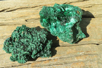 Natural Chatoyant Silky Malachite Specimens  x 6 From Kasompe, Congo