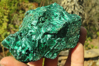 Natural Chatoyant Silky Malachite Specimens  x 6 From Kasompe, Congo