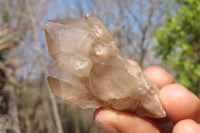 Natural White Phantom Smokey Quartz Clusters x 12 From Luena, Congo