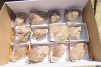 Natural White Phantom Smokey Quartz Clusters x 12 From Luena, Congo