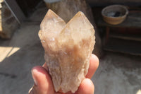 Natural White Phantom Smokey Quartz Clusters x 12 From Luena, Congo