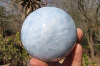 Polished Blue Calcite Spheres  x 4 From Ihadilalana, Madagascar