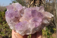 Natural Jacaranda Amethyst Clusters x 3 From Mumbwa, Zambia